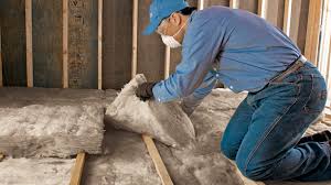 Best Eco-Friendly or Green Insulation Solutions  in North Branch, MN